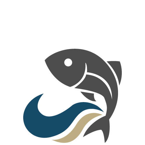 Kategorie Frischfisch